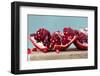 Pomegranate-ORLIO-Framed Photographic Print