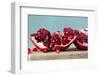 Pomegranate-ORLIO-Framed Photographic Print