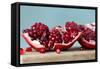 Pomegranate-ORLIO-Framed Stretched Canvas