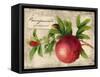 Pomegranate-Kate Ward Thacker-Framed Stretched Canvas