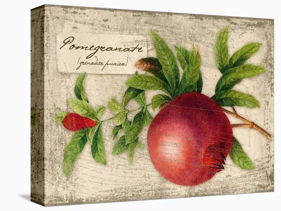 Pomegranate-Kate Ward Thacker-Stretched Canvas