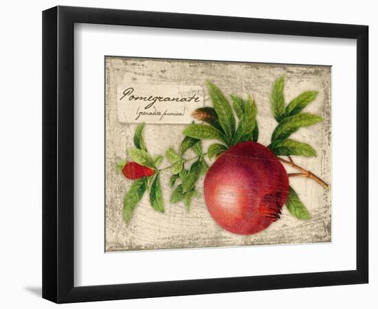 Pomegranate-Kate Ward Thacker-Framed Giclee Print