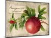 Pomegranate-Kate Ward Thacker-Mounted Giclee Print