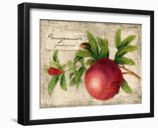 Pomegranate-Kate Ward Thacker-Framed Giclee Print