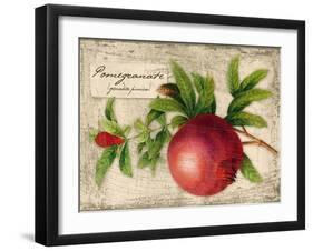 Pomegranate-Kate Ward Thacker-Framed Giclee Print