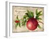 Pomegranate-Kate Ward Thacker-Framed Giclee Print