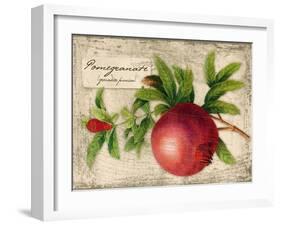 Pomegranate-Kate Ward Thacker-Framed Giclee Print