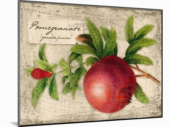 Pomegranate-Kate Ward Thacker-Mounted Giclee Print