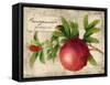 Pomegranate-Kate Ward Thacker-Framed Stretched Canvas