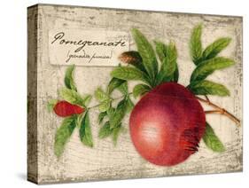 Pomegranate-Kate Ward Thacker-Stretched Canvas