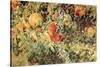 Pomegranates, 1908-John Singer Sargent-Stretched Canvas