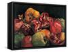 Pomegranates from Chabela, 2007-Pedro Diego Alvarado-Framed Stretched Canvas