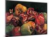 Pomegranates from Chabela, 2007-Pedro Diego Alvarado-Mounted Giclee Print