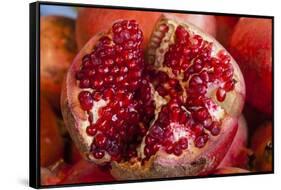 Pomegranates in Carmel Market-Richard T. Nowitz-Framed Stretched Canvas