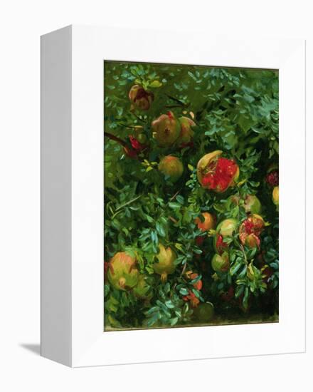 Pomegranates, Majorca, C.1908-John Singer Sargent-Framed Stretched Canvas