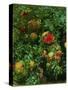 Pomegranates, Majorca, C.1908-John Singer Sargent-Stretched Canvas