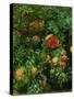 Pomegranates, Majorca, C.1908-John Singer Sargent-Stretched Canvas