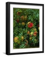 Pomegranates, Majorca, C.1908-John Singer Sargent-Framed Giclee Print