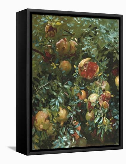Pomegranates, Majorca-John Singer Sargent-Framed Stretched Canvas
