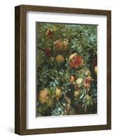 Pomegranates, Majorca-John Singer Sargent-Framed Giclee Print