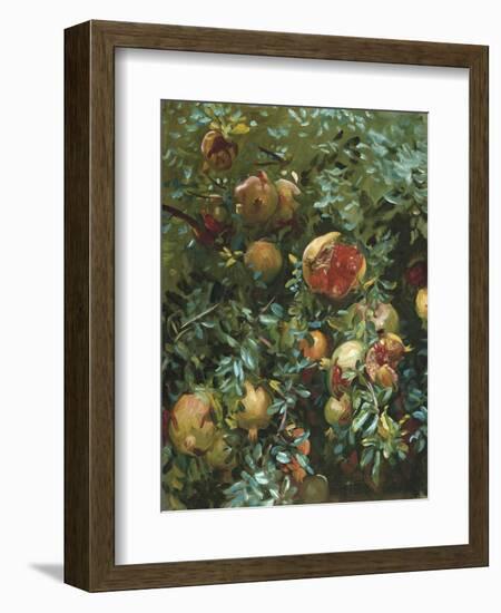 Pomegranates, Majorca-John Singer Sargent-Framed Giclee Print