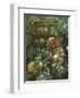 Pomegranates, Majorca-John Singer Sargent-Framed Premium Giclee Print