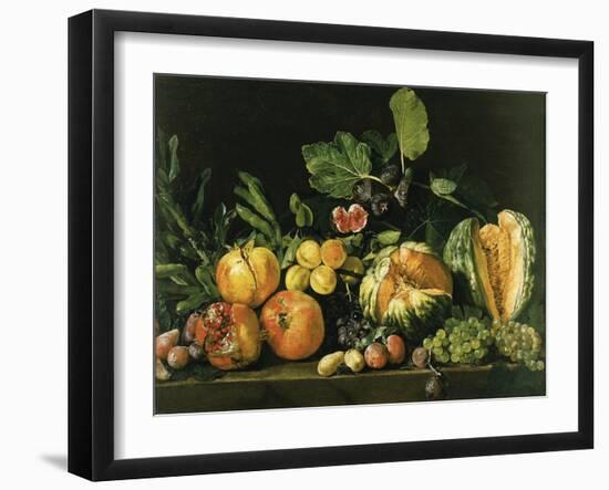 Pomegranates, Melons, Grapes, Peaches, Figs and Other Fruits on a Stone Ledge-null-Framed Giclee Print