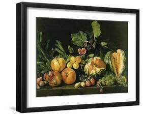 Pomegranates, Melons, Grapes, Peaches, Figs and Other Fruits on a Stone Ledge-null-Framed Giclee Print