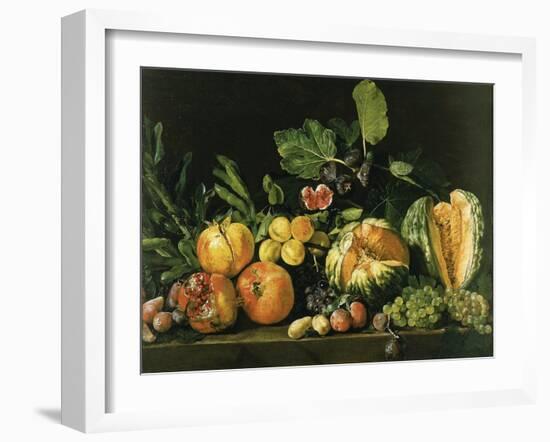 Pomegranates, Melons, Grapes, Peaches, Figs and Other Fruits on a Stone Ledge-null-Framed Giclee Print