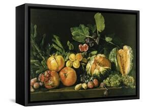 Pomegranates, Melons, Grapes, Peaches, Figs and Other Fruits on a Stone Ledge-null-Framed Stretched Canvas