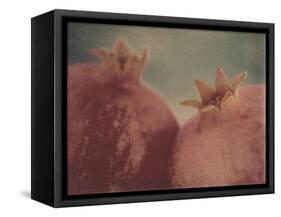 Pomegranates-Jennifer Kennard-Framed Stretched Canvas