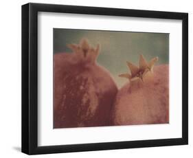 Pomegranates-Jennifer Kennard-Framed Photographic Print