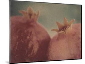 Pomegranates-Jennifer Kennard-Mounted Photographic Print