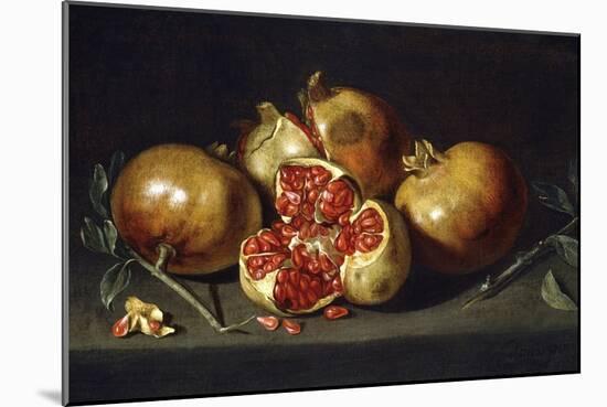 Pomegranates-Antonio Ponce-Mounted Giclee Print