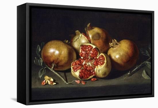 Pomegranates-Antonio Ponce-Framed Stretched Canvas