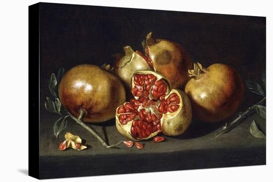 Pomegranates-Antonio Ponce-Stretched Canvas
