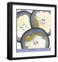 Pomelo-Mitch Hughes-Framed Art Print