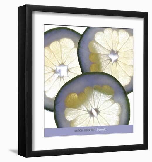 Pomelo-Mitch Hughes-Framed Art Print