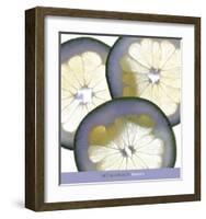 Pomelo-Mitch Hughes-Framed Art Print