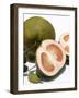 Pomelos, One Halved-Kaktusfactory-Framed Photographic Print