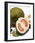 Pomelos, One Halved-Kaktusfactory-Framed Photographic Print