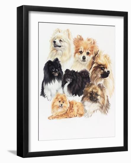 Pomeraneian-Barbara Keith-Framed Giclee Print