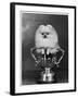 Pomeranian Champion Dimples of Hadleigh, a Pomeranian Posing in a Trophy-null-Framed Photographic Print