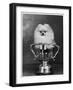 Pomeranian Champion Dimples of Hadleigh, a Pomeranian Posing in a Trophy-null-Framed Photographic Print