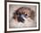 Pomeranian Portrait-Jai Johnson-Framed Giclee Print