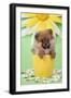 Pomeranian Puppy in Flower Pot (10 Weeks Old)-null-Framed Photographic Print