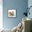 Pomeranian, Three Sitting, One Puppy, Studio Shot-null-Framed Stretched Canvas displayed on a wall