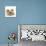 Pomeranian, Three Sitting, One Puppy, Studio Shot-null-Stretched Canvas displayed on a wall