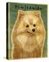 Pomeranian-John W Golden-Stretched Canvas