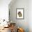 Pomeranian-null-Framed Photographic Print displayed on a wall